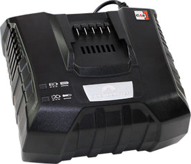 CAS HIGH SPEED charging station 220-240 Volt